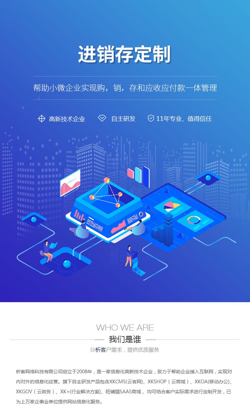 进销存系统定制：企业运营助力器